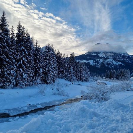 Hirsch Haus Apartman Santo Stefano di Cadore Kültér fotó