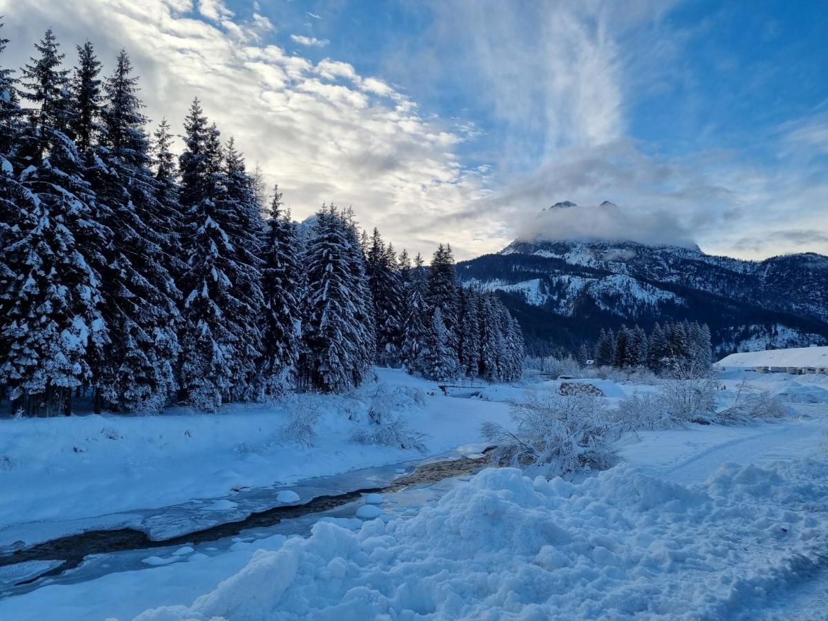 Hirsch Haus Apartman Santo Stefano di Cadore Kültér fotó