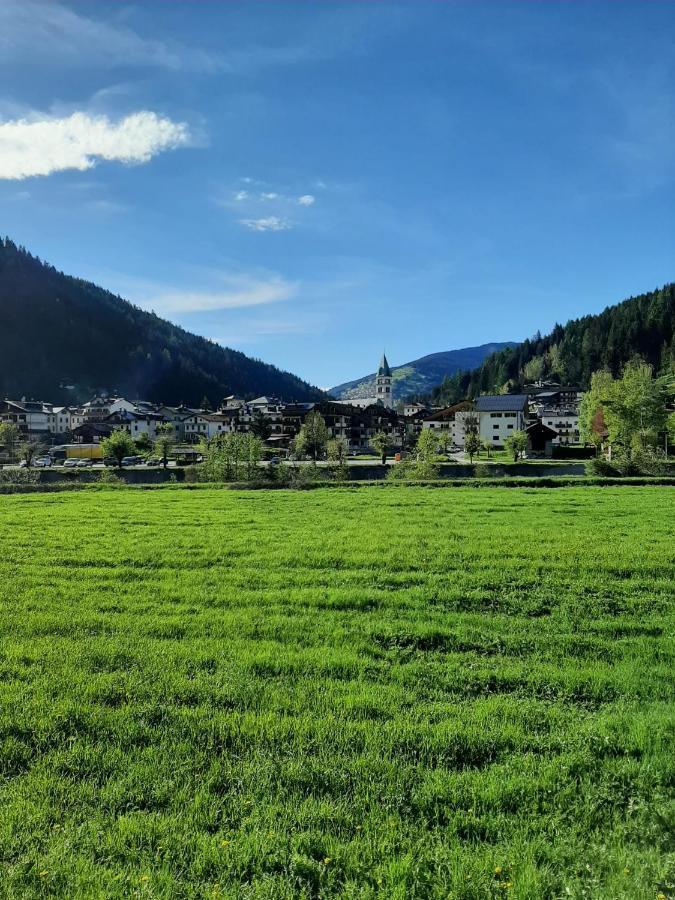 Hirsch Haus Apartman Santo Stefano di Cadore Kültér fotó